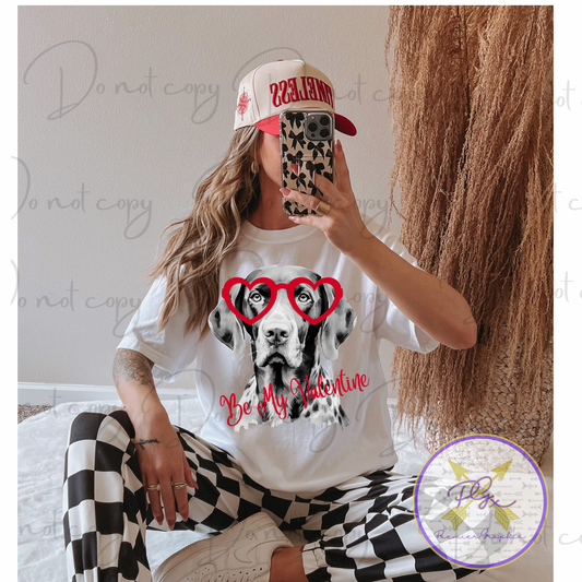 Germain Shorthaired BMV